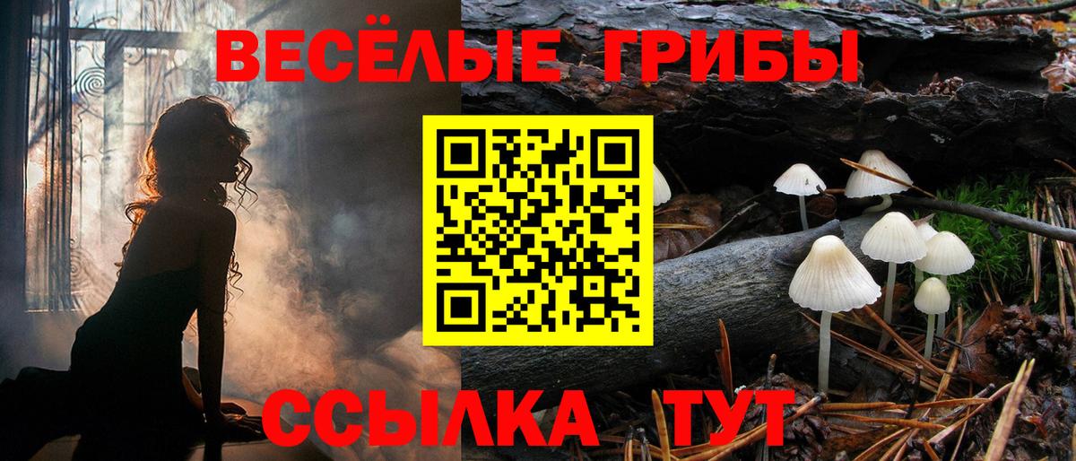 Мытищи  Псилоцибиновые грибы ЛСД  Вход с VPN 