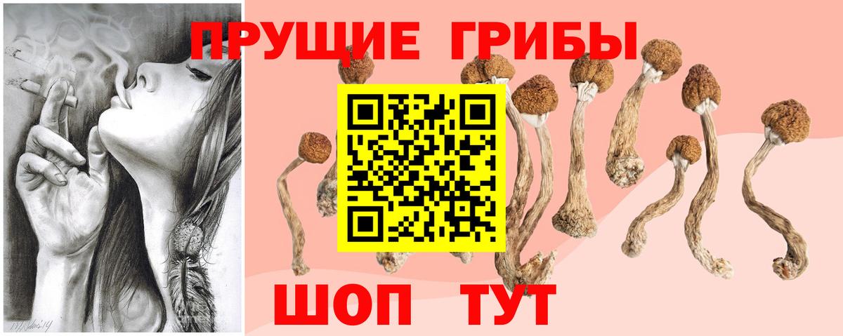 Псилоцибиновые грибы MAGIC MUSHROOMS Мытищи